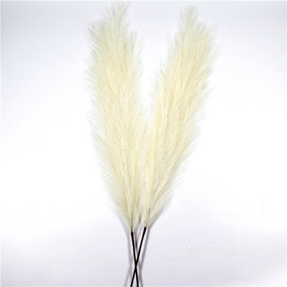 33e3053c8a16878ce6afd25d438388a7