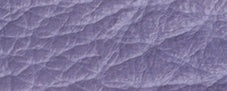 f93160019acf7269817c035e02838520