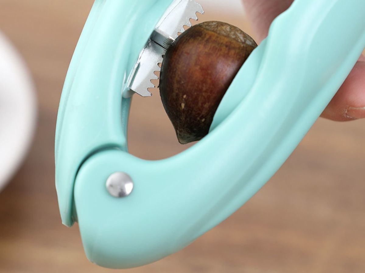 Chestnut Mouth Gag Multifunctional