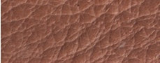 d197376ef0434b204694440bd9296ee
